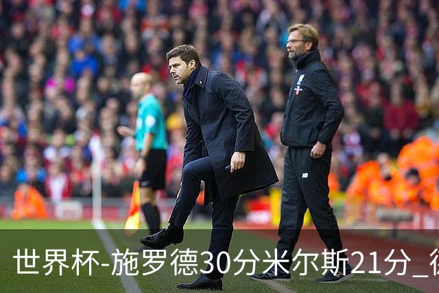 世界杯-施罗德30分米尔斯21分 德国胜澳大利亚