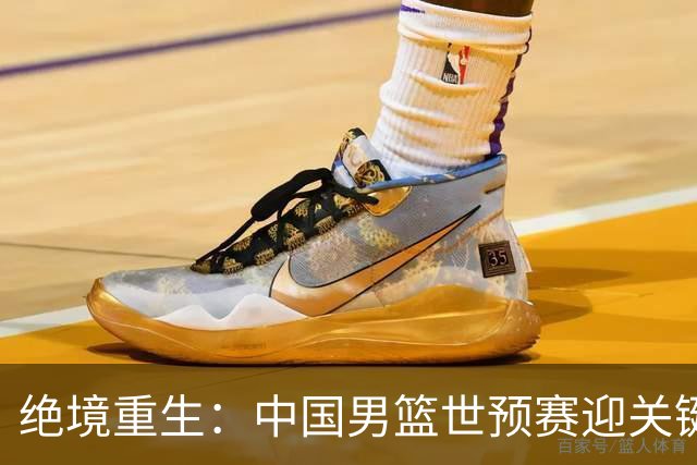 绝境重生：中国男篮世预赛迎关键第二阶段 拼搏定能破局